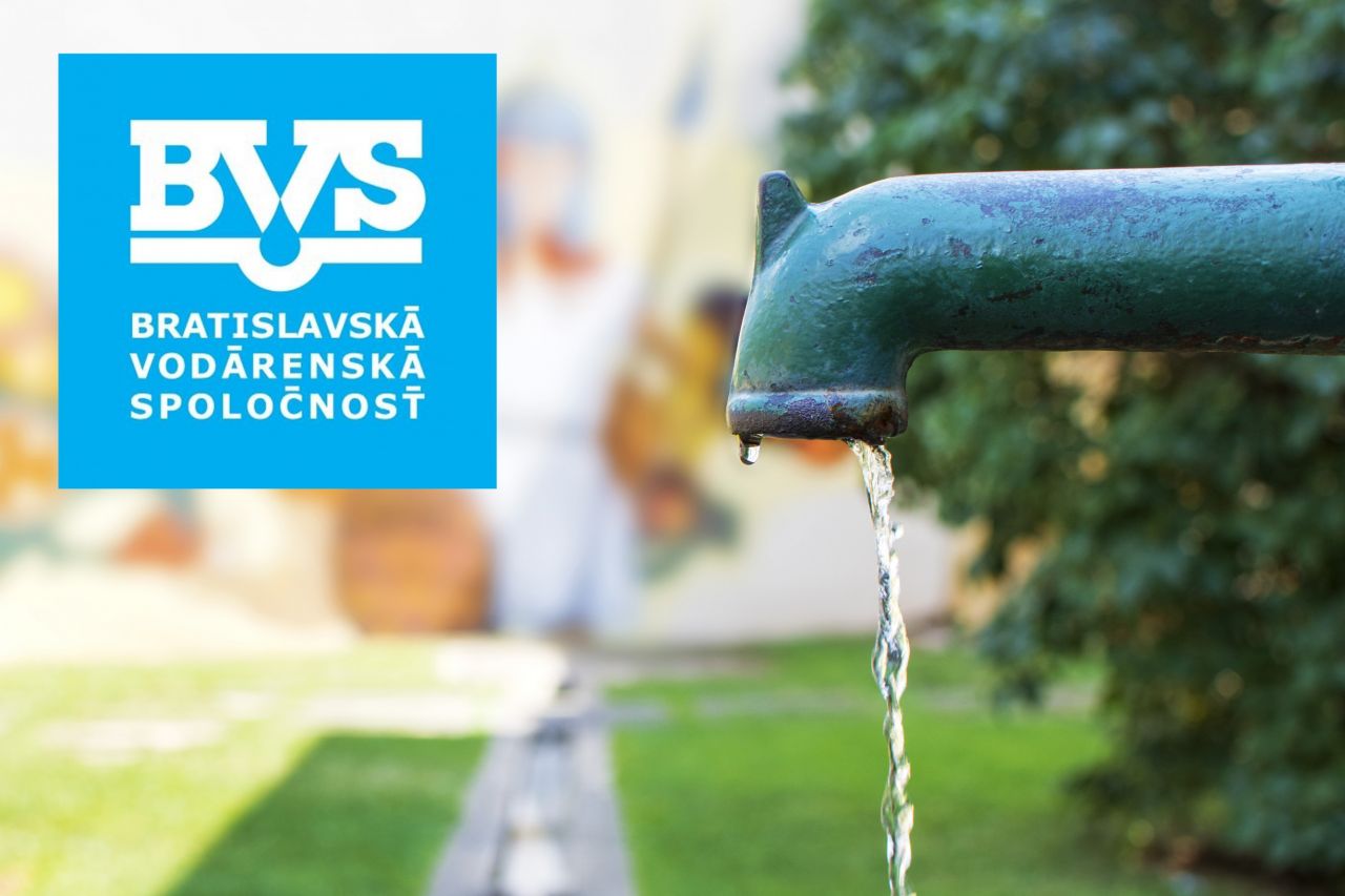 Bezpečnostná analýza – posúdenie optimálnosti formy a spôsobu ochrany majetku pre BVS, a.s.